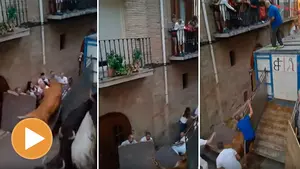 "Ay, Dios mío": una vaca rompe el vallado en Puente la Reina y provoca momentos de tensión entre los asistentes