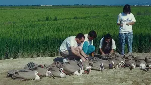 Denuncian abandono animal de cigüeñas y buitres leonado en el centro navarro de recuperación de fauna