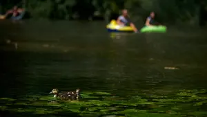 Una localidad navarra presenta un nuevo plan de emergencia para proteger a sus vecinos de las inundaciones