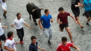 El encierro de novillos de Estella deja emoción tras la cogida a un mozo en el encierrillo previo