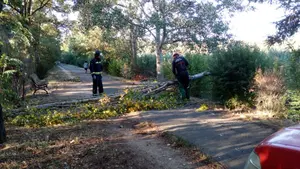 Un fuerte temporal arrasa con árboles y señales de tráfico en Navarra: carreteras embarradas y pequeños incendios