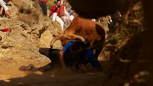 Al borde de la cogida en el segundo Pilón de Falces: dos vacas rezagadas ponen la emoción en el encierro