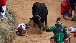 Primer susto en el Pilón de Falces: una vaca se da la vuelta en pleno recorrido y regresa al corral