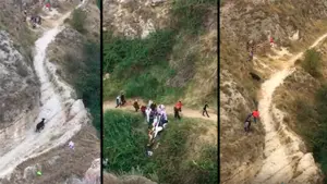 La vaca díscola del tercer encierro del Pilón: así se dio la vuelta y amenazó con subir por el monte