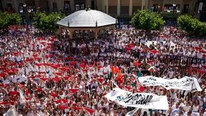 Lesiones, robos con fuerza y un delito contra la libertad sexual: doce denuncias durante las fiestas de Tafalla