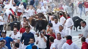 El primer encierro de Tafalla al completo: las peligrosas carreras de los toros de 'Las Monjas'