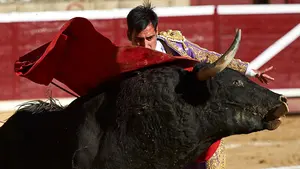 Arranca la temporada de festejos taurinos mayores tras el estado de alarma, con parada en Navarra a final de mes