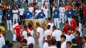 Embistiendo contra todo: el toro suelto que ha llevado el peligro durante el segundo encierro de Tafalla