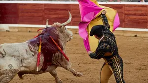 Los jaboneros de Prieto de la Cal imponen su estilo en Tafalla: las imágenes de la segunda corrida de la feria