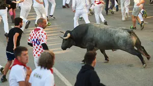 Peligroso y duro tercer encierro en Tafalla: todos los toros sueltos y un herido con dos cornadas en el callejón