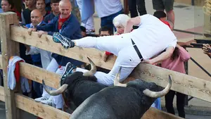 Derrotes contra los mozos por todo el recorrido: las impactantes imágenes del tercer encierro de Tafalla con toros de Saltillo