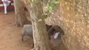 Operado durante varias horas el joven corneado en Tafalla, un experimentado corredor de la localidad