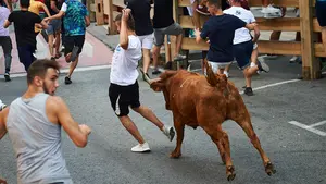 Vaquillas, Los Tenampas y m&aacute;s de un centenar de actos: Berriozar arranca cinco d&iacute;as de fiestas patronales