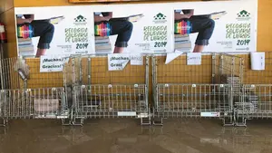 Más de 12.000 ejemplares de libros, vinilos y dvd tendrán una 'segunda vida' con fin solidario en Pamplona