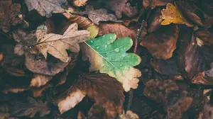 Educando en el medio ambiente: el Ayuntamiento de Pamplona oferta varias actividades para los alumnos navarros