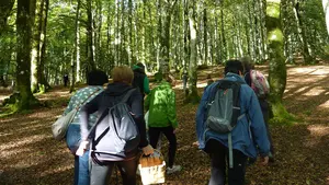 Expertos en el turismo micológico de Navarra: programan una segunda edición de cursos para convertirse en guía