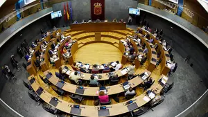 Los parlamentarios forales se suben el sueldo y cobrarán un 2% más en este recién estrenado 2020