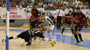 Duro batacazo para empezar: Osasuna Xota pierde en la pista de un recién ascendido, Córdoba Futsal