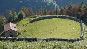 El Gobierno de Navarra se compromete a desarrollar acciones de economía circular en el medio rural