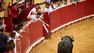 Navarra tendrá toros: una localidad anuncia que celebrará tres festejos taurinos pese a cancelar sus fiestas