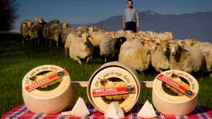 La tradición familiar tiene premio: dos queserías de Navarra logran los 'Oscars' de la alimentación