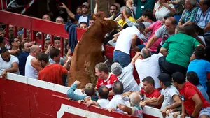 Máxima tensión en Villafranca: los espectaculares saltos de las vacas de Arriazu en la plaza de la localidad navarra