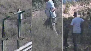 Localizan al hombre que mató a su perro de un disparo y lo arrojó al río Ebro a su paso por Castejón