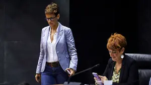 El PSN admite que la ley de mapa local no les gusta pero apoya a los nacionalistas para mantenerla