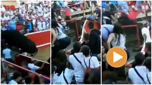 Muere el hombre de 70 años cogido por un toro en Cortes tras saltar el vallado y embestir a los espectadores