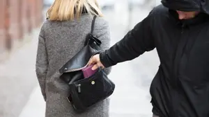 Detienen a un joven de Pamplona por robar una cartera y un móvil del bolso a una trabajadora