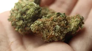 Detienen a dos personas en Pamplona que transportaban bolsas con 'speed' y marihuana en su vehículo