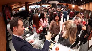 Tudela se vuelca con el buen vino navarro y celebra en el teatro Gaztambide una nueva edici&oacute;n de Vinofest