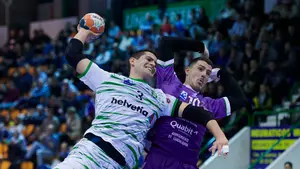 Las mejores imágenes del partido de la liga Asobal entre el Anaitasuna y el Guadalajara (34-27)