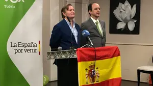Vox crece en más de medio millar de votos en Navarra pero no logra subirse a la ola de su gran impulso nacional