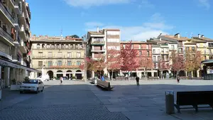 Estella llama a la "responsabilidad colectiva" en el anuncio de la suspensión de sus fiestas