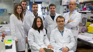 Investigadores en Navarra localizan dos inhibidores que frenan el desarrollo de uno de los cánceres más agresivos