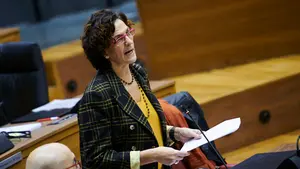 Navarra afirma que las ayudas a los ganaderos y al vacuno de lidia "no va a ser un parche"