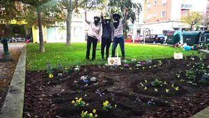 Nuevo 'atentado' del Comando Borraja, que asalta un parterre de la Chantrea para regalar un huerto a los vecinos