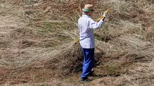 Ayudas a la agricultura y ganadería sostenible: más de ocho millones de euros para el siguiente año