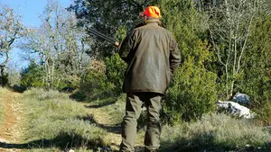 Denuncian la "ilegalidad" del Gobierno de Chivite por permitir cazar fauna en estado de alarma