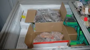 Vegetales exóticos, pollo y pescado: intervienen dos toneladas de alimentos no aptos para el consumo