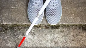 Continuarán sus estudios: dos navarros con discapacidad consiguen unas becas de la ONCE