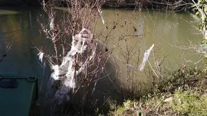 Exigen al Ayuntamiento de Pamplona "medidas eficaces" para reducir el uso de plásticos en el Arga