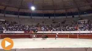 Un antitaurino salta al ruedo durante una corrida de Hermoso de Mendoza y acaba embestido por el toro