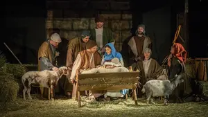 La mula y el buey 'navarros' que iban a protagonizar el belén viviente de Cuenca sufren un accidente de tráfico