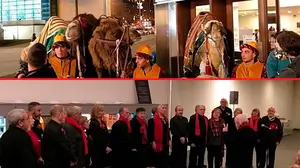 La Noche del Belén protagoniza por segundo año consecutivo uno de los eventos más especiales de los belenistas navarros