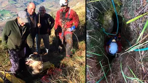 Sin miedo al peligro: los bomberos rescatan a dos perros que se habían caído a sendas simas en Larráun y Urbasa