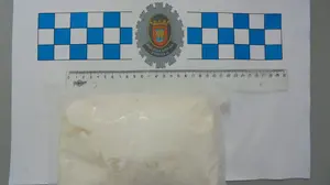 Transportaba la droga en una furgoneta de reparto: detenido un vecino de Tudela por tráfico de estupefacientes