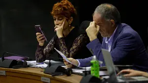 Bildu pide que los políticos no trabajen el 30 de enero para sumarse a la huelga general