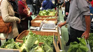 Pamplona contar&aacute; con un nuevo mercado que estar&aacute; situado en el centro de la ciudad